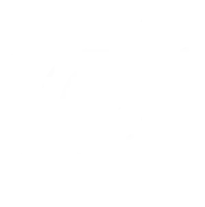 Tourist Travel World